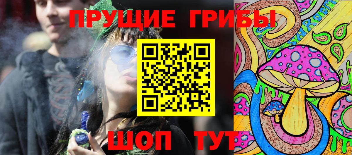 Псилоцибиновые грибы Psilocybine cubensis Архангельск